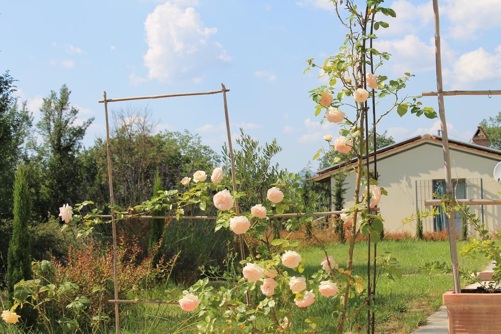 Agriturismo Dimore Di Poggianto Pergine Valdarno Екстериор снимка