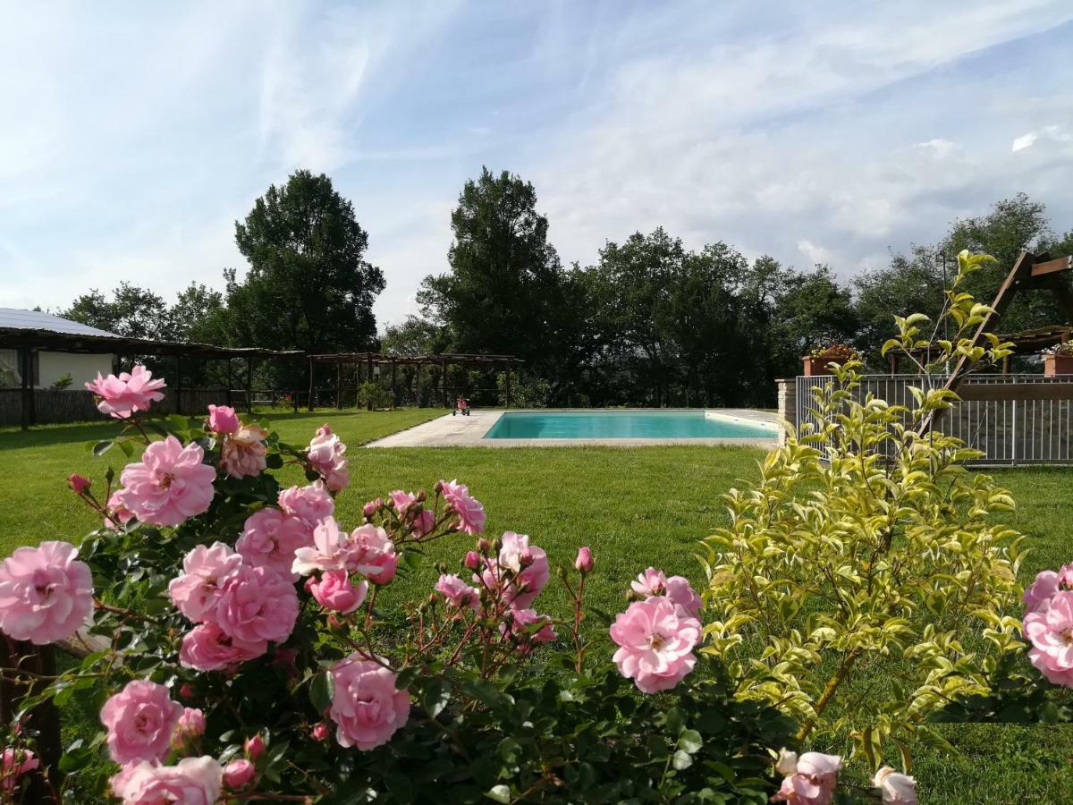 Agriturismo Dimore Di Poggianto Pergine Valdarno Екстериор снимка